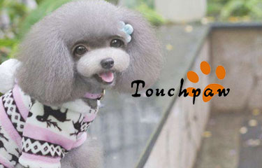 Touchpaw